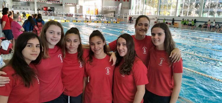 El Club Natació Vinaròs, a Elx, en el Campionat Autonòmic Infantil i a Castelló, en l’Aleví
