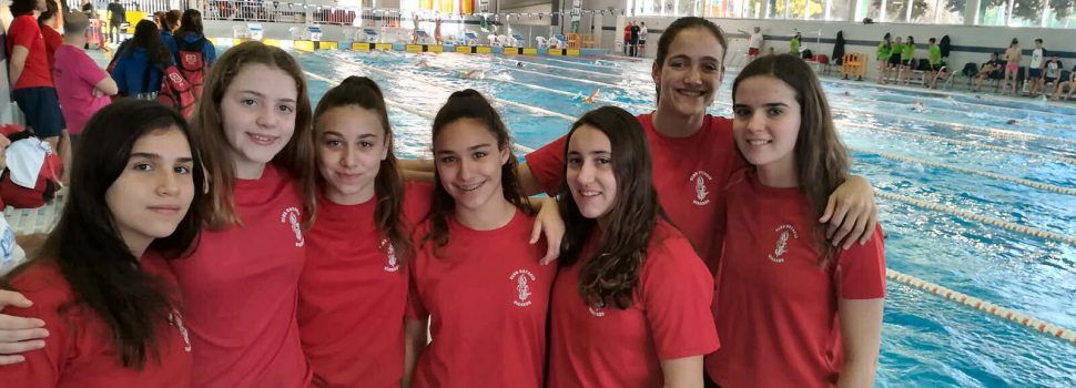 El Club Natació Vinaròs, a Elx, en el Campionat Autonòmic Infantil i a Castelló, en l’Aleví