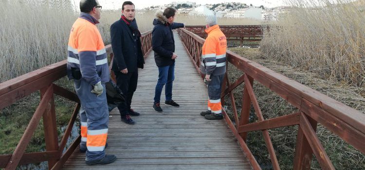 L’Ajuntament de Peníscola avança en les tasques de rutina de desbrossament de la marjal i de la zona de l’ullal