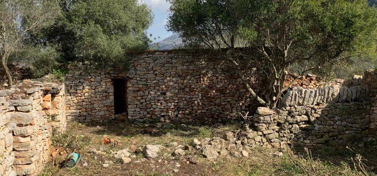 Neteja i desbrossament a Sta. Magdalena del ‘Corral de l´Ama’