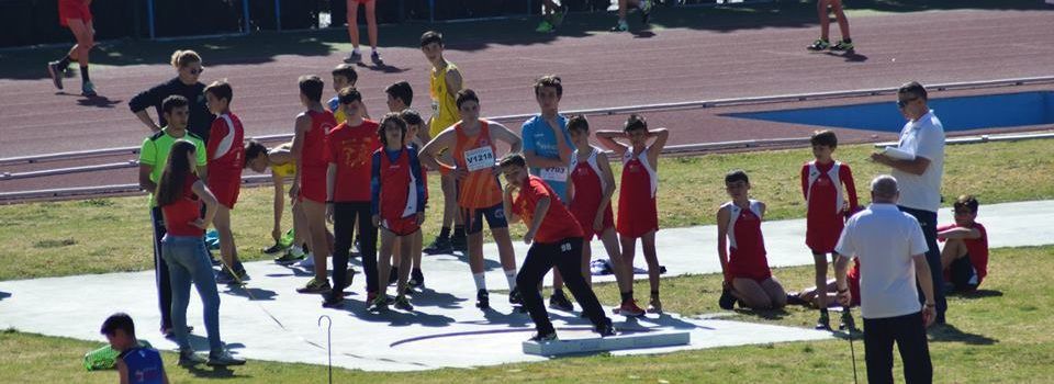 Actualitat del CLUB ESPORTIU VINARÒS-FACSA Aigües de Vinaròs