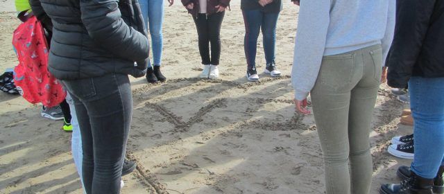Col·laboració de l’IES J.Coromines de Benicarló amb la universitat de Cambridge