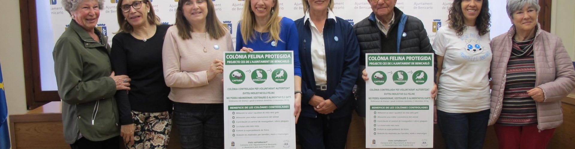 Benicarló implanta el projecte CER per a controlar les colònies de gats al nucli urbà