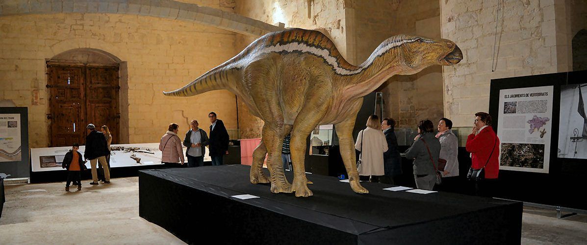 El Convent de Sant Francesc de Morella acull l’exposició Morelladon&Cia