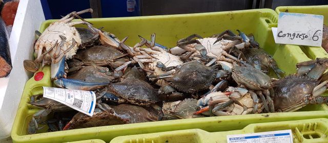 Los pescadores piden menos restricciones para pescar el cangrejo azul