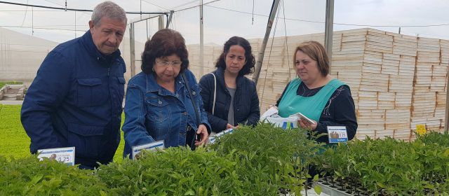 Toda la oferta para cultivos urbanos en el semillero Benihort de Benicarló