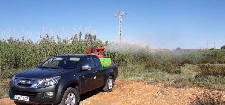 Alcalà-Alcossebre avança els tractaments contra els mosquits