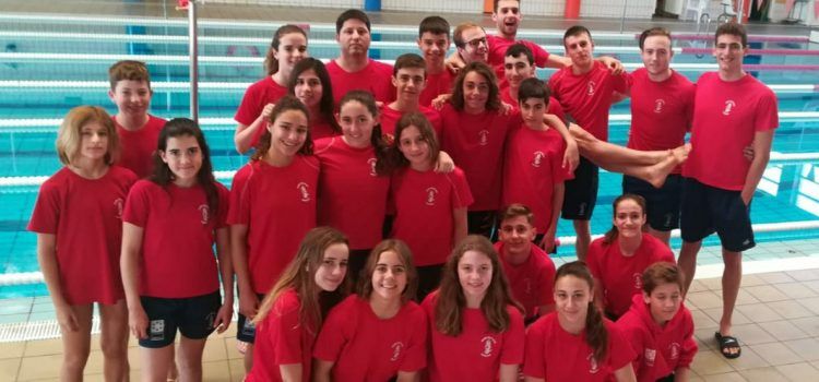 26 nadadors del CN Vinaròs, en el trofeu de Villlarreal