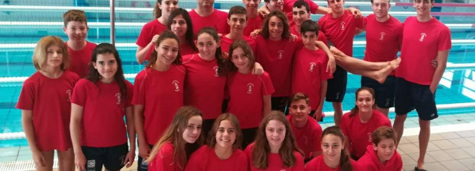 26 nadadors del CN Vinaròs, en el trofeu de Villlarreal