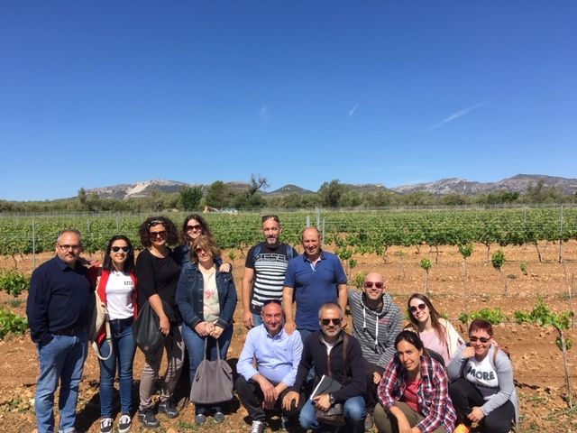Les empreses amb el reconeixement SICTED de Vinaròs participen en la “Jornada de coneixement de l’entorn”