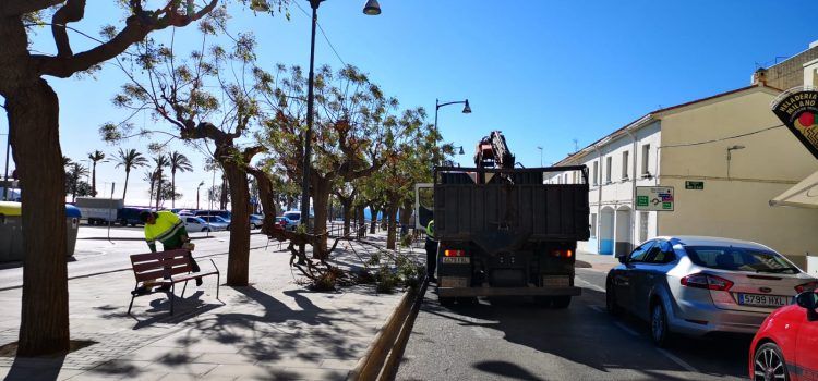 Problemes pel vent a Vinaròs