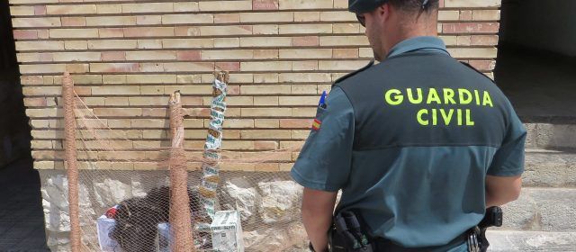 La Guardia Civil denuncia a dos vecinos de Tarragona por capturar jilgueros en Santa Bàrbara