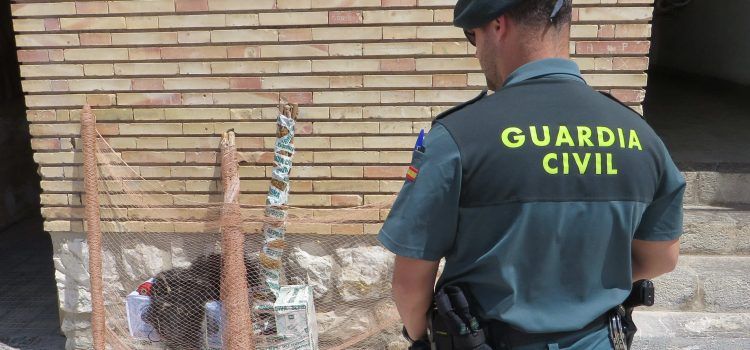 La Guardia Civil denuncia a dos vecinos de Tarragona por capturar jilgueros en Santa Bàrbara