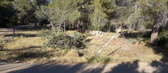 Treballs de neteja a la la zona del Corral del Petiquillo de Benicarló