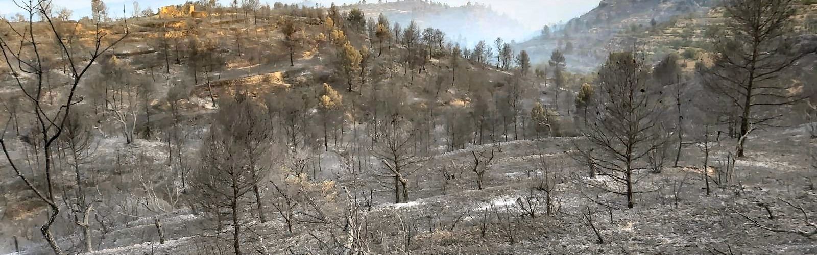 Comunicat de CUP Terres de l’Ebre davant l’incendi a la Ribera d’Ebre