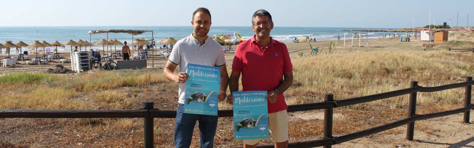 Alcalà-Alcossebre participa a la campanya “Aquesta tortuga viu a la Mediterrània”