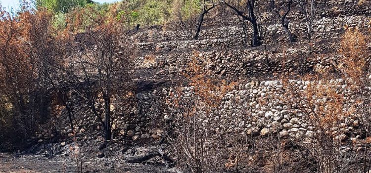 La Guardia Civil investiga a una persona como supuesto autor de un incendio forestal en Sant Mateu