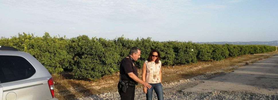 Obres i Serveis fa un balanç de l’estat dels camins rurals del terme de Vinaròs