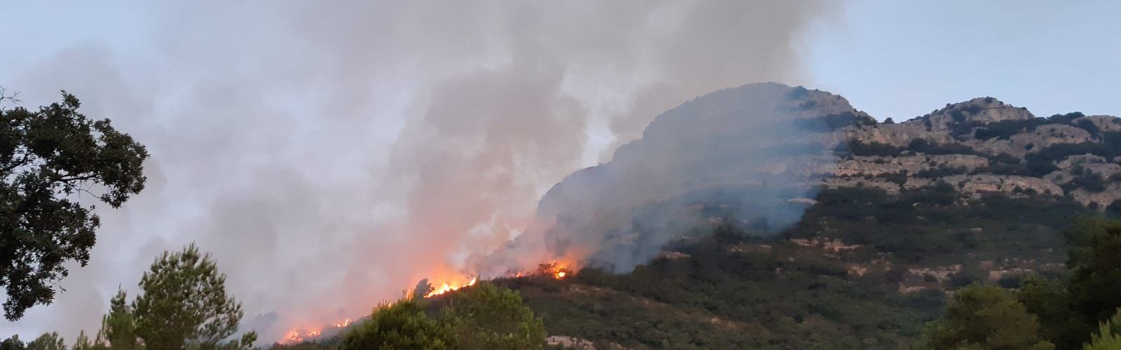 Controlat l’incendi forestal vora al camí Rossell-Vallibona