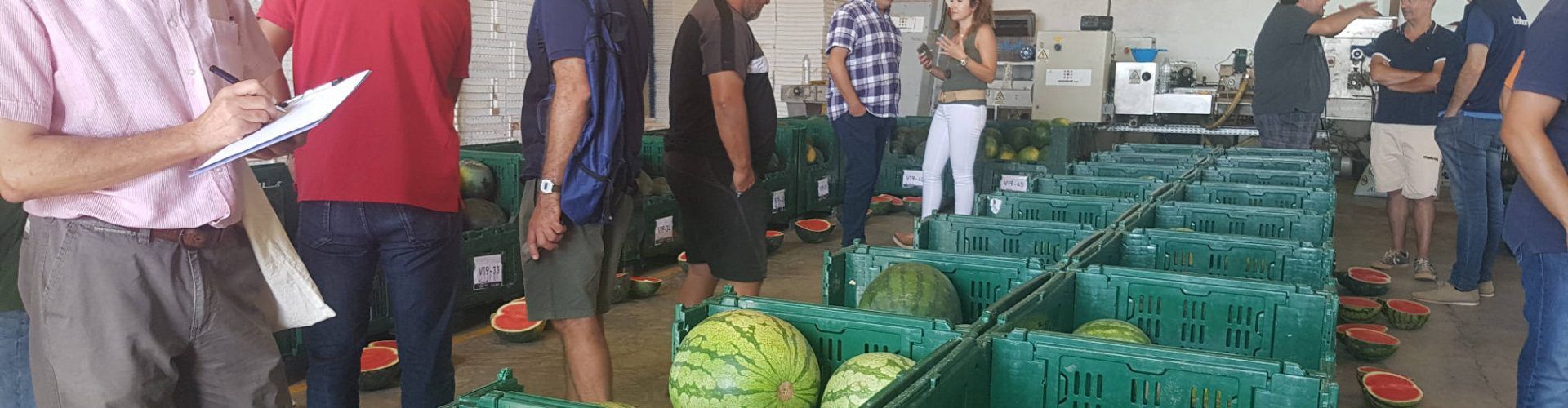 III Jornadas de sandía Benihort a Benicarló