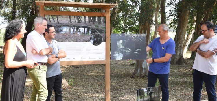 L’artista Albert Gusi, guanyador de la quarta edició de l’XYZ, proposa “caçar” gambusins als Ullals de Baltasar