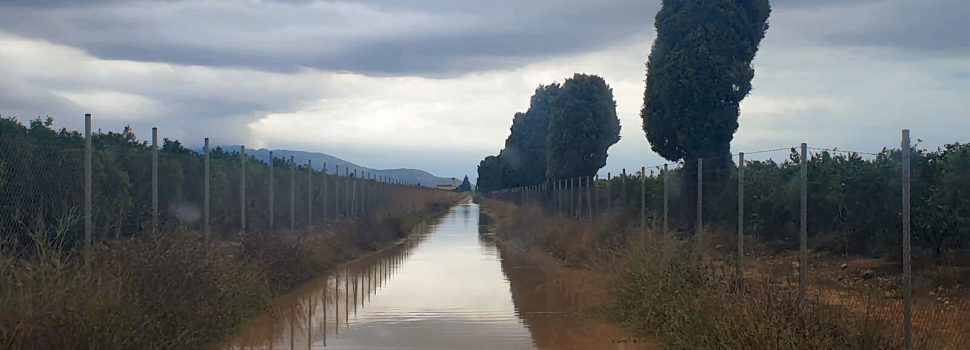 La pluja provoca incidències a la via pública i les platges de Vinaròs