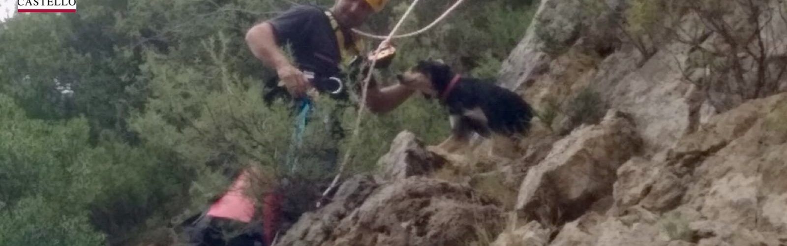 Los bomberos rescatan a un perro atrapado en Culla