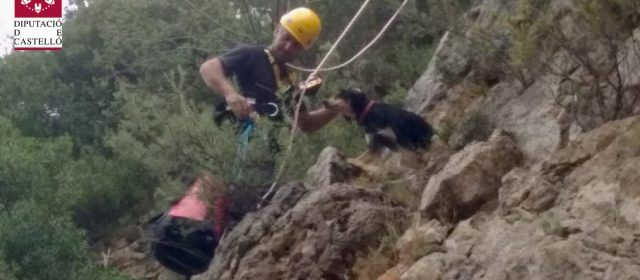 Los bomberos rescatan a un perro atrapado en Culla