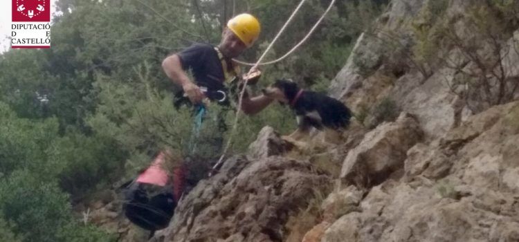 Los bomberos rescatan a un perro atrapado en Culla