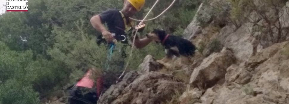 Los bomberos rescatan a un perro atrapado en Culla