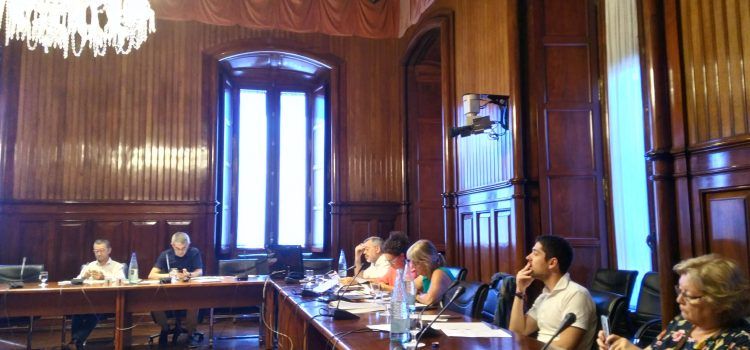 Salvem lo Montsià i GEPEC-EdC compareixen en la Ponència de la Proposició de llei de protecció d’oliveres monumentals