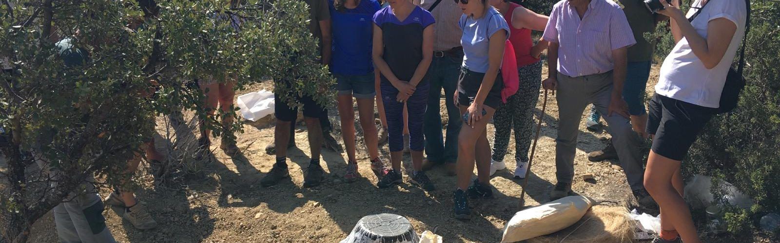 Continuen les excavacions en busca de dinosaures a Portell
