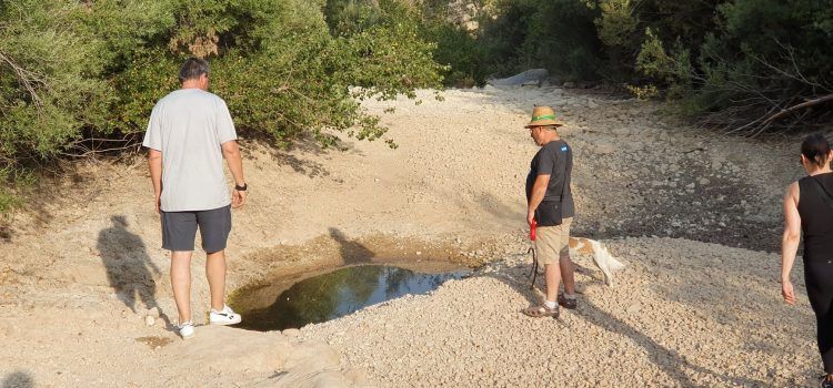 El Cervol, sota mínims al pas per Vallibona