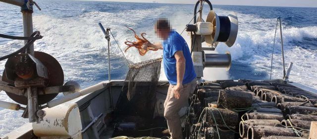 Intervienen en el litoral del Delta de l’Ebre 500 cadups para la captura del pulpo.