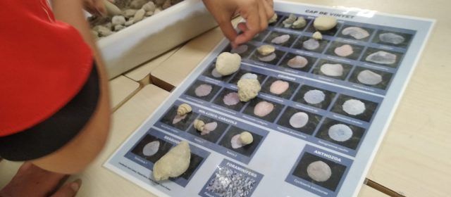 Els escolars calijons descobreixen la paleontologia