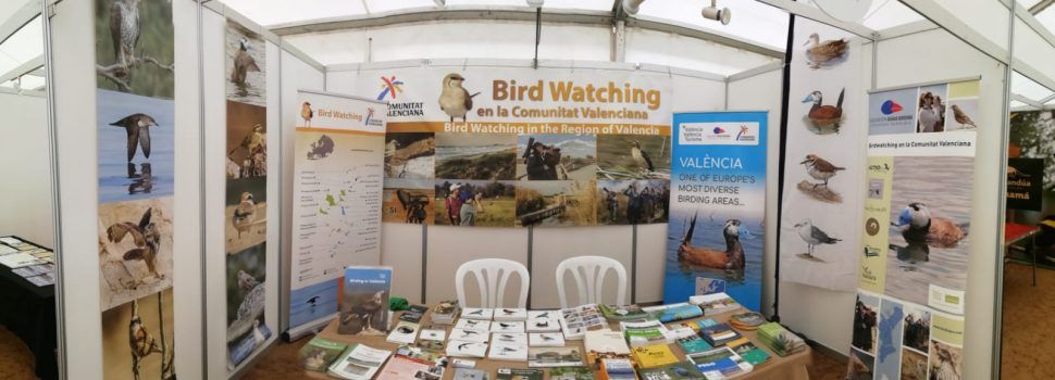 Turisme Comunitat Valenciana muestra la oferta ornitológica en el Delta Birding Festival