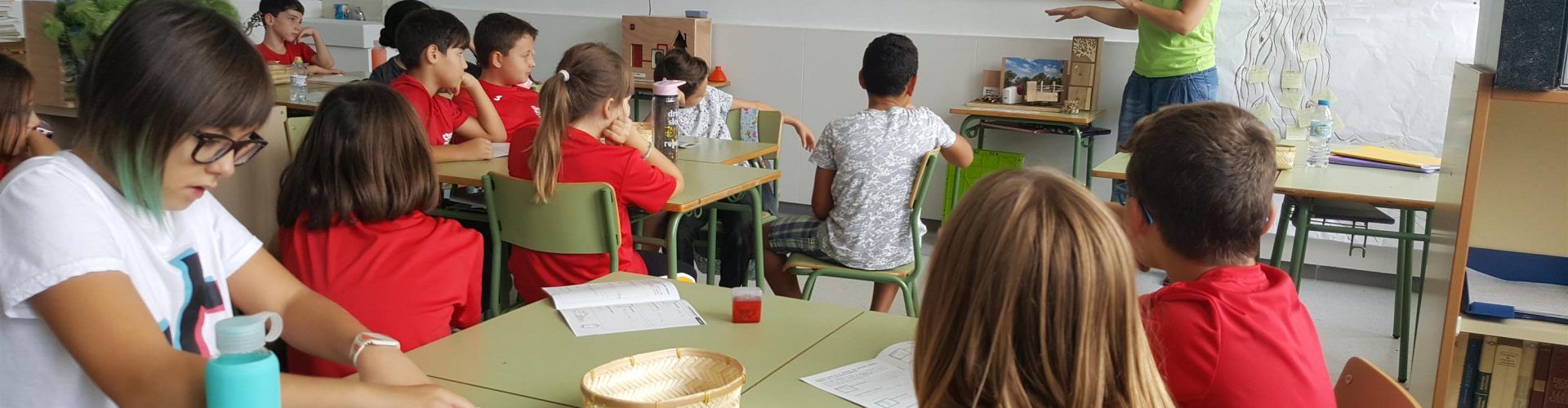 La Diputació de Tarragona reprèn els tallers d’educació ambiental sobre biomassa als centres educatius de la demarcació
