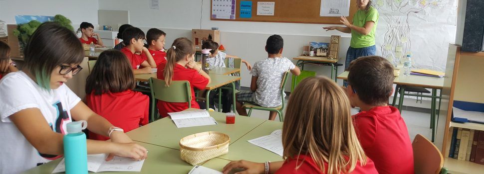 La Diputació de Tarragona reprèn els tallers d’educació ambiental sobre biomassa als centres educatius de la demarcació