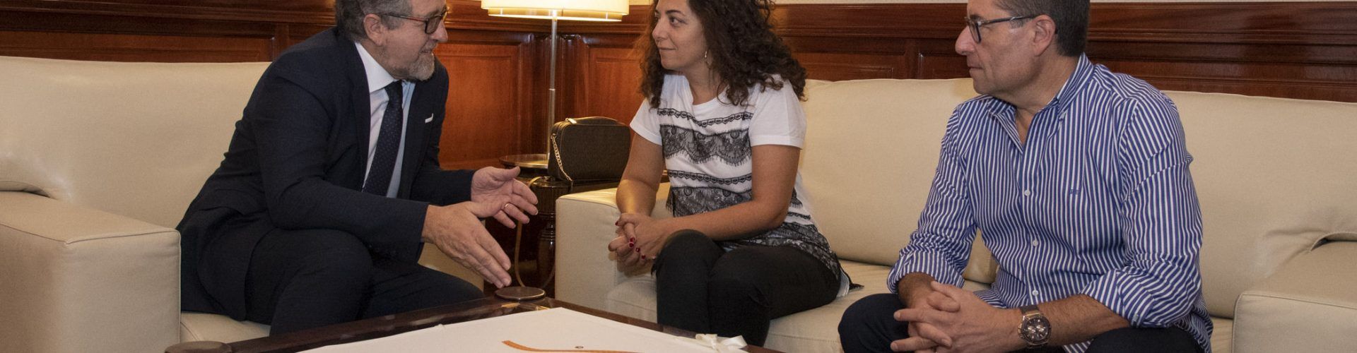 Martí i Besalduch, partidaris de considerar les capitals de comarca  en el problema de la despoblació