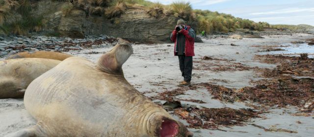 Joan Gil: desde el Ártico hasta la Antártida plasmando fauna y paisajes en imágenes