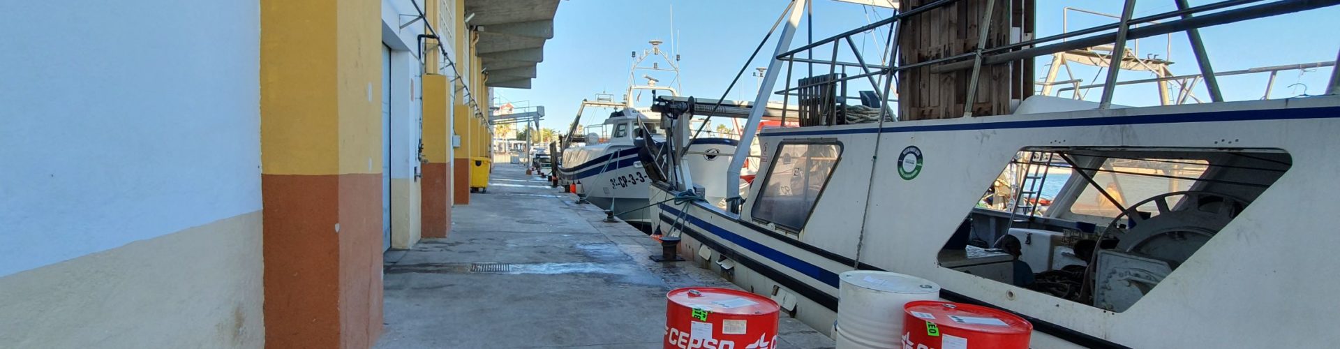Más cámaras de seguridad y redistribución del trabajo del personal de la lonja en el puerto de Vinaròs