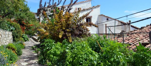 Morella renova les tres Flors d’Honor de Viles amb flor