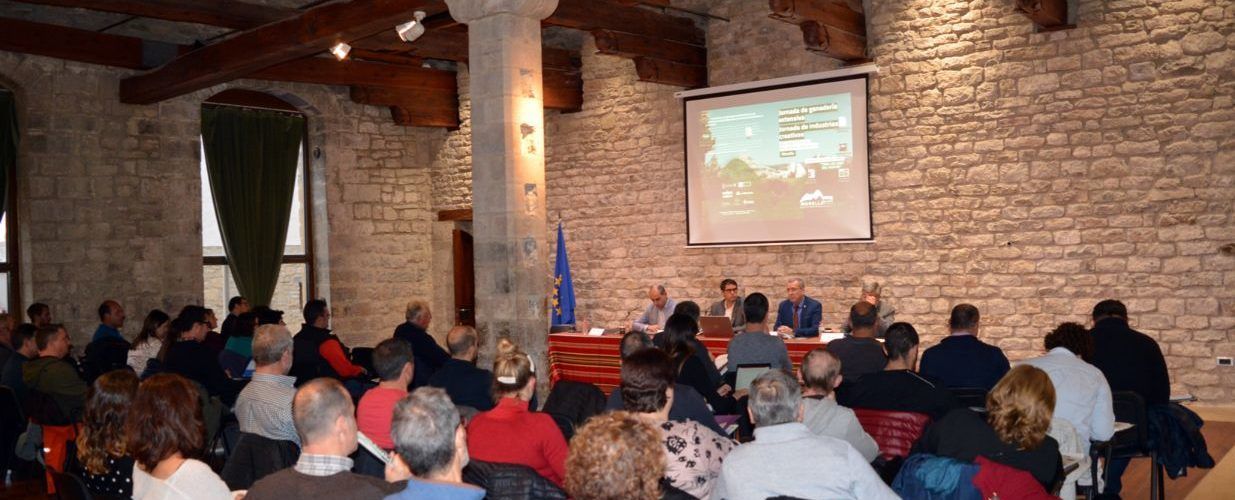 Morella inaugura les jornades de ramaderia extensiva d’esMontañas