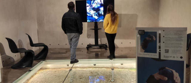 La biennal ‘The Wrong’ arriba al Mucbe de la mà del Consorci de Museus