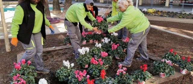 El taller d’ocupació ha començat els treballs de jardineria a la plaça de la C.Valenciana de Benicarló