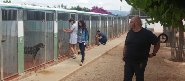 Compromís per Vinaròs presenta dos mocions per al benestar animal a la població