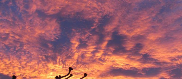 Resumen meteorológico de noviembre en Morella