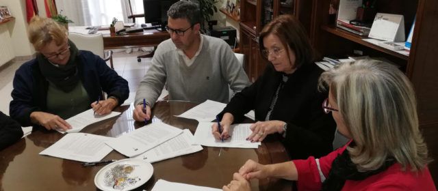 Benicarló firma un conveni per a controlar les colònies de gats al nucli urbà