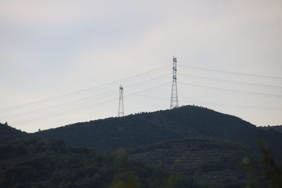 Compromís trasllada al Senat la preocupació existent als Ports per les afeccions de la MAT a l’avifauna