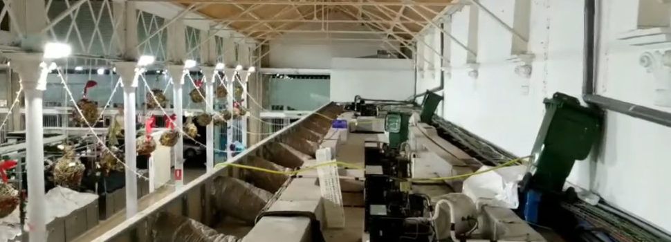 Los comerciantes del mercado de Vinaròs exigen la reparación de las goteras